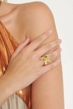 Anillo Mariposa Monarca