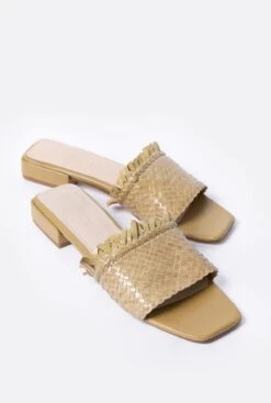 Attina Flat Pistacho -Es Fascinante attina flat pistacho flat sandals mint and rose 812211