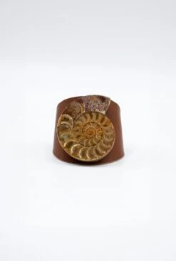 BRAZALECUE CAMEL - AMONITE