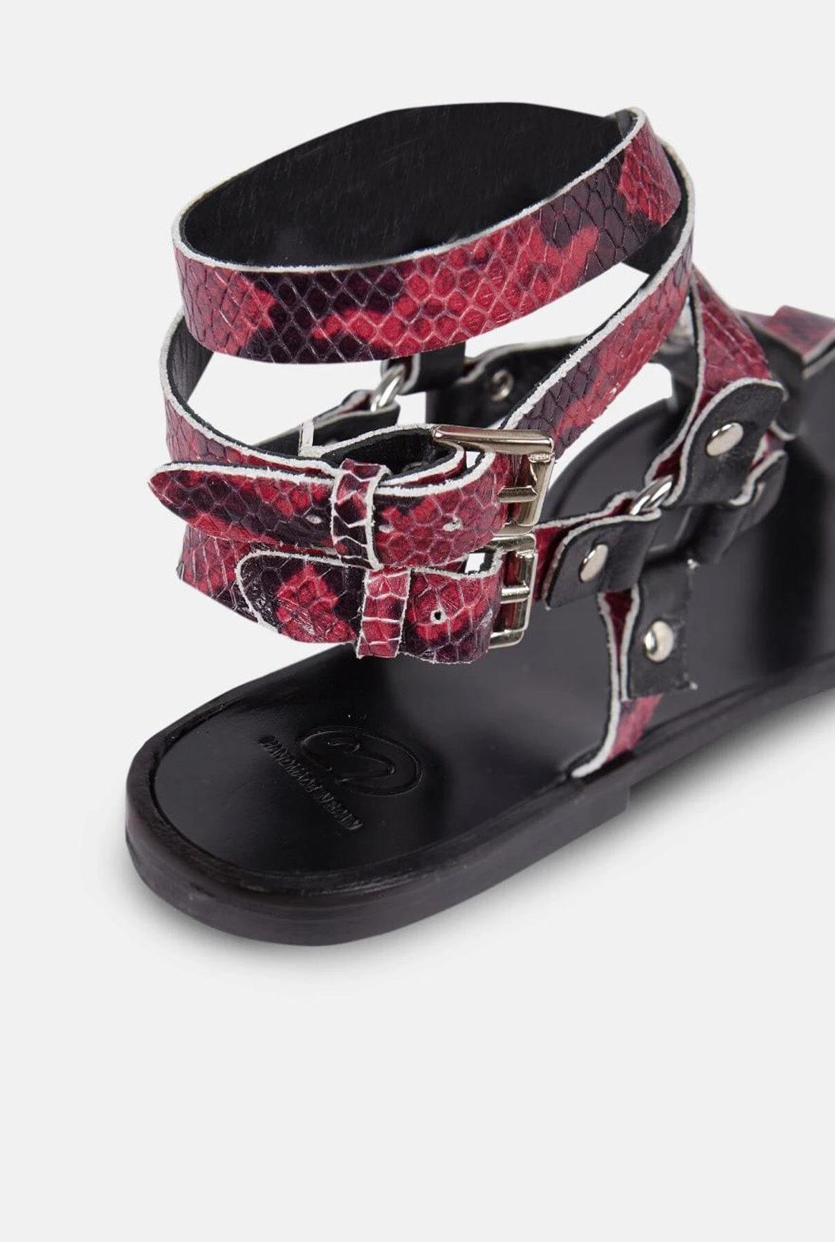 ESCLAVAS VIOLETA 6 ESCLAVAS VIOLETA - Imagen 4