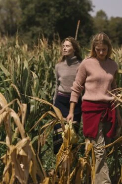 Montse Jumper - Beige -Es Fascinante montse jumper beige sweaters laia alen 339468