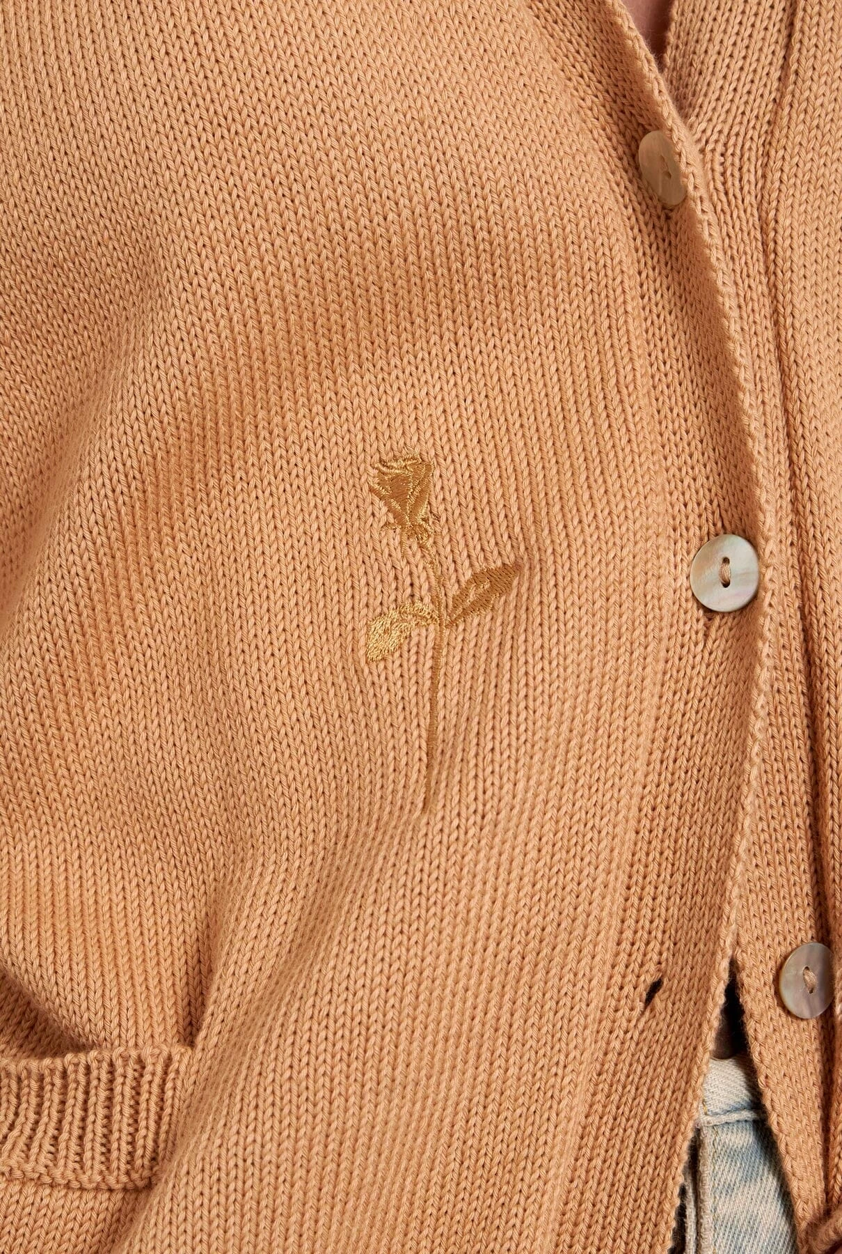 The Cardigan 7 The Cardigan - Imagen 5