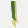 Veronica Scarf Pistachio -Es Fascinante veronica scarf pistachio foulards scarves van hise 471874